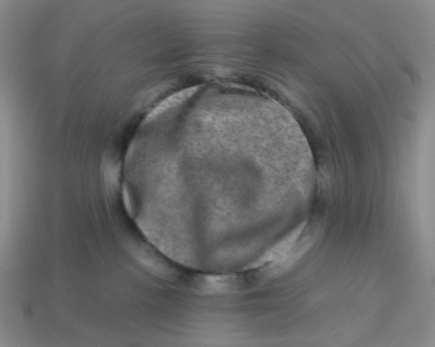 X0000113600188200910091528