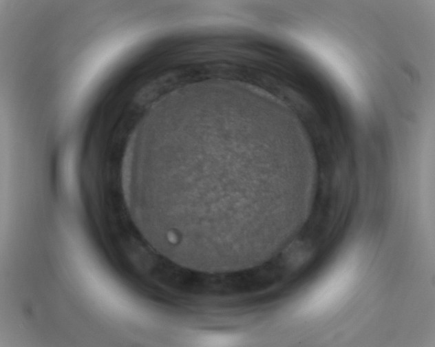 X0000113600189200910091528