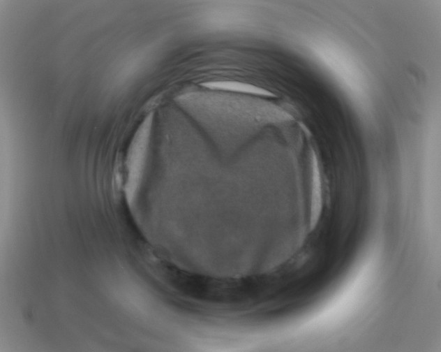 X0000113600190200910091528