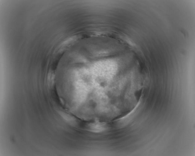 X0000113600191200910091528