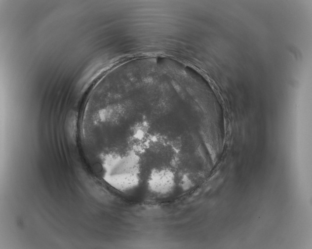 X0000113600194200910091527