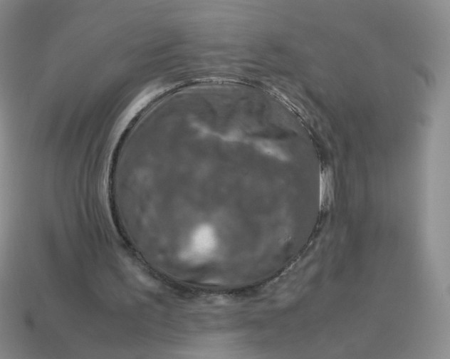 X0000113600195200910091527