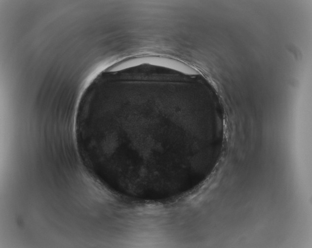 X0000113600196200910091527