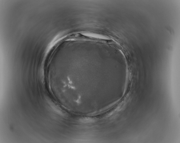 X0000113600198200910091527