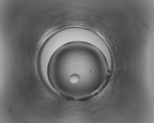 X0000113600199200910091527