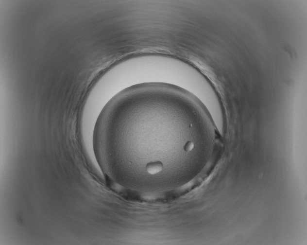 X0000113600201200910091527