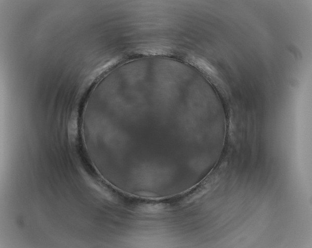 X0000113600202200910091527