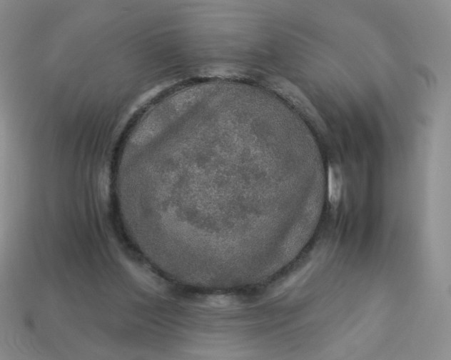 X0000113600204200910091527