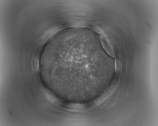 X0000113600205200910091527