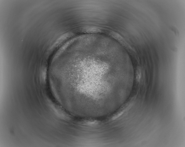 X0000113600206200910091527