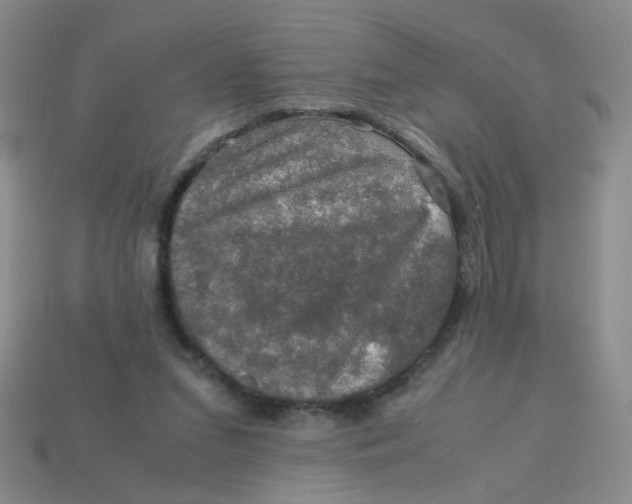 X0000113600207200910091527