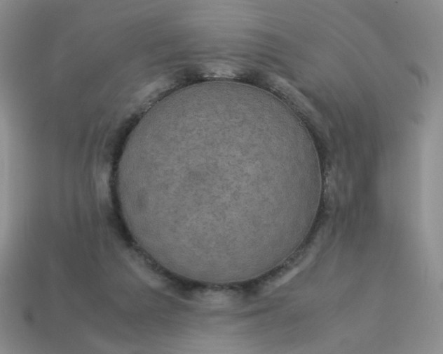 X0000113600209200910091527