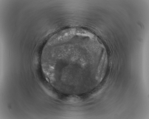 X0000113600215200910091527