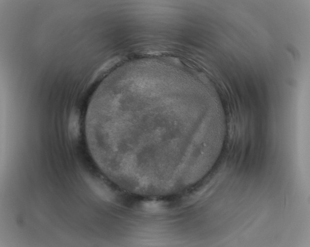 X0000113600216200910091527