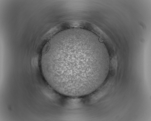 X0000113600217200910091527