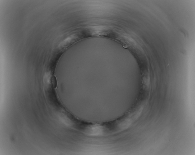 X0000113600219200910091527