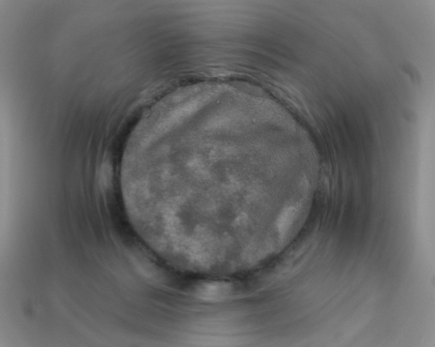 X0000113600220200910091527