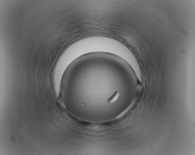 X0000113600221200910091527