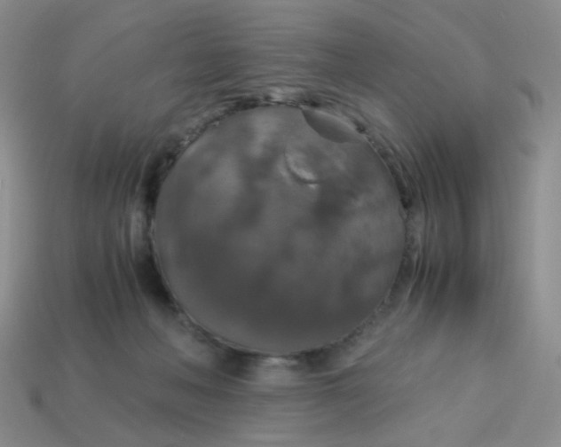 X0000113600222200910091527