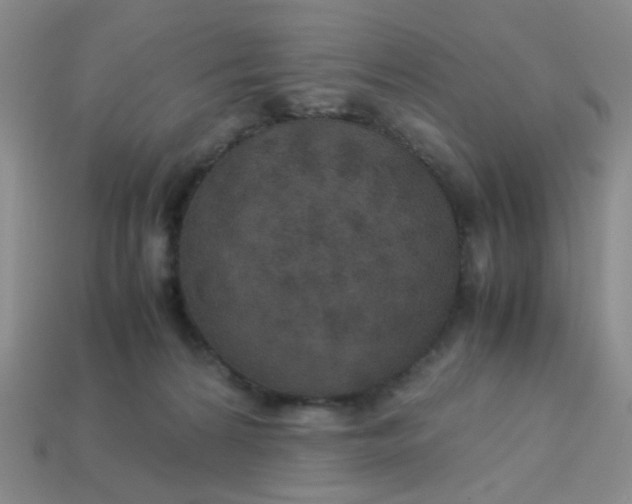 X0000113600224200910091527