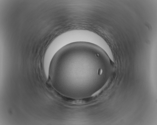 X0000113600225200910091527