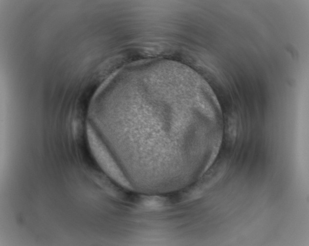 X0000113600226200910091527