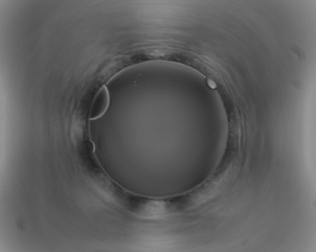 X0000113600227200910091527