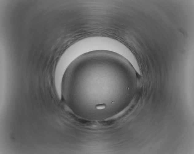 X0000113600229200910091527