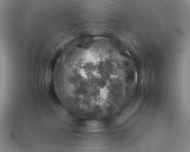 X0000113600230200910091527