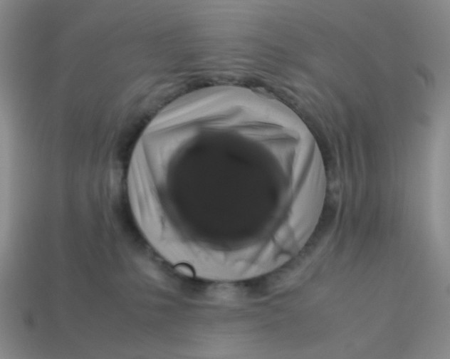 X0000113600231200910091527