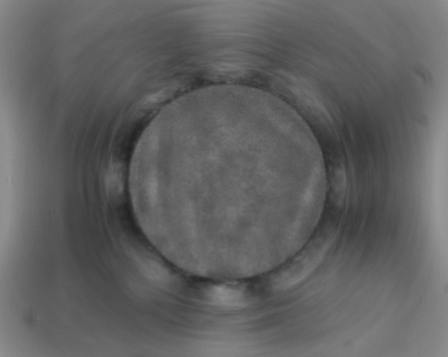 X0000113600232200910091527