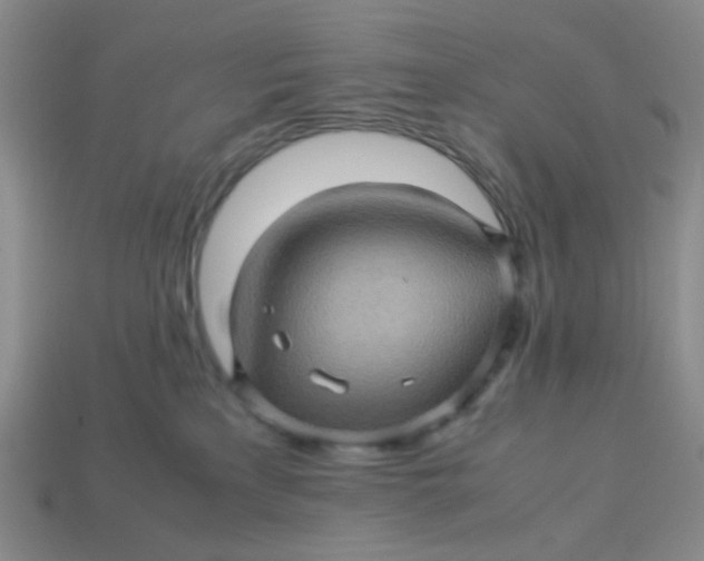 X0000113600233200910091527