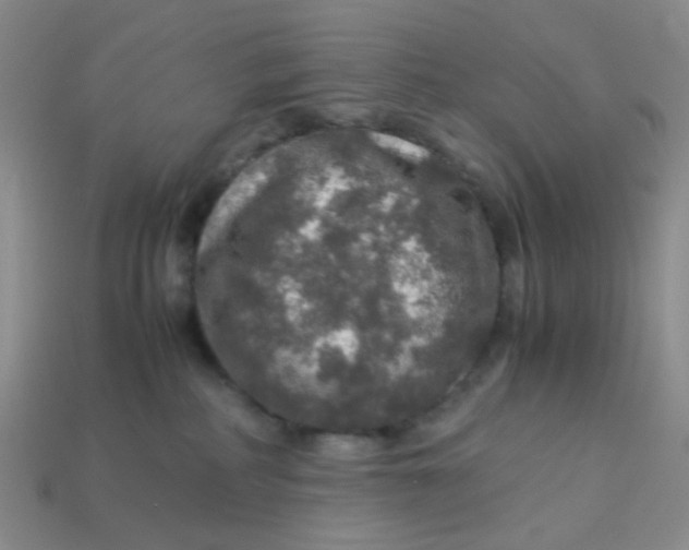 X0000113600234200910091527