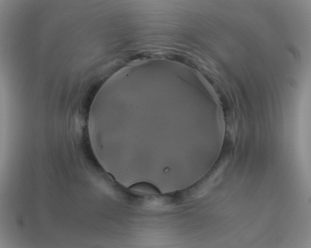 X0000113600235200910091527