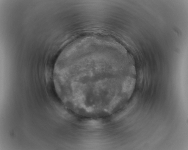 X0000113600236200910091527