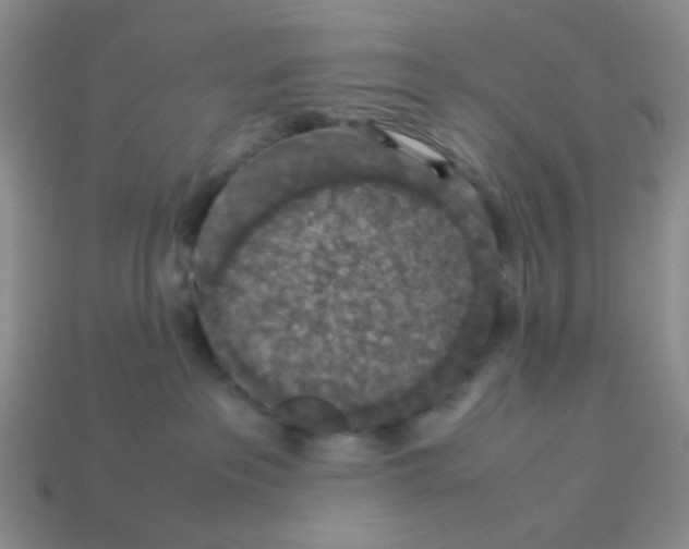 X0000113600237200910091527