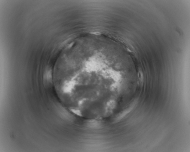 X0000113600238200910091527