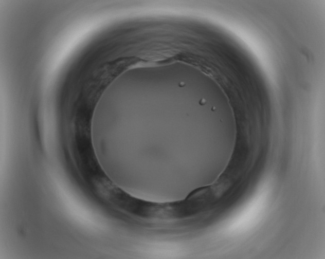 X0000113600239200910091527