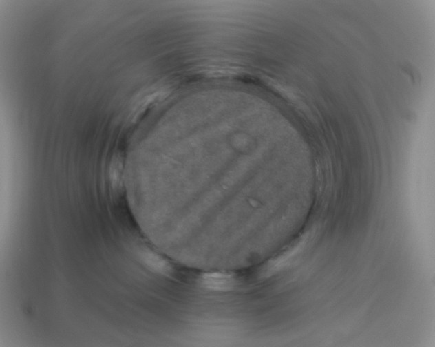 X0000113600240200910091527