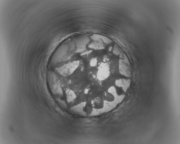 X0000113600241200910091526