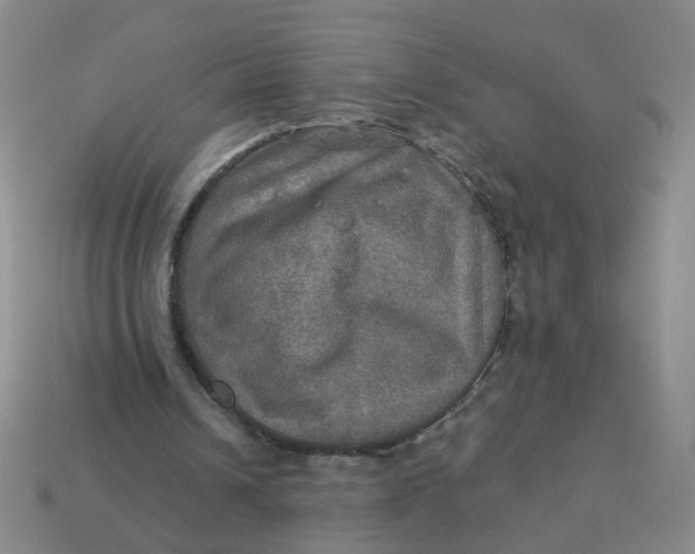 X0000113600242200910091526