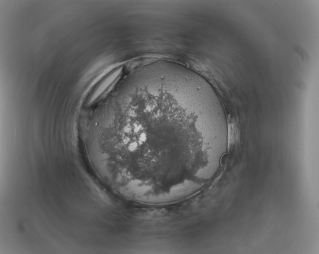 X0000113600243200910091526