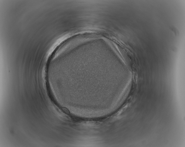 X0000113600244200910091526