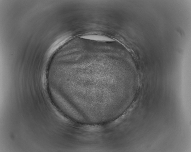 X0000113600245200910091526