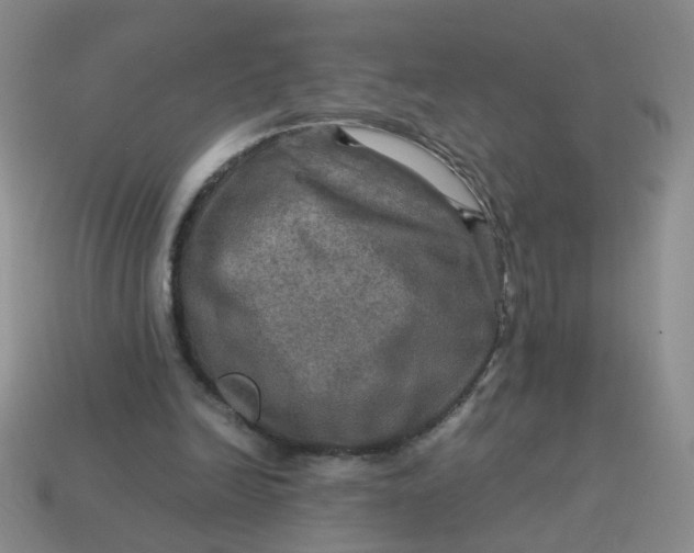 X0000113600246200910091526