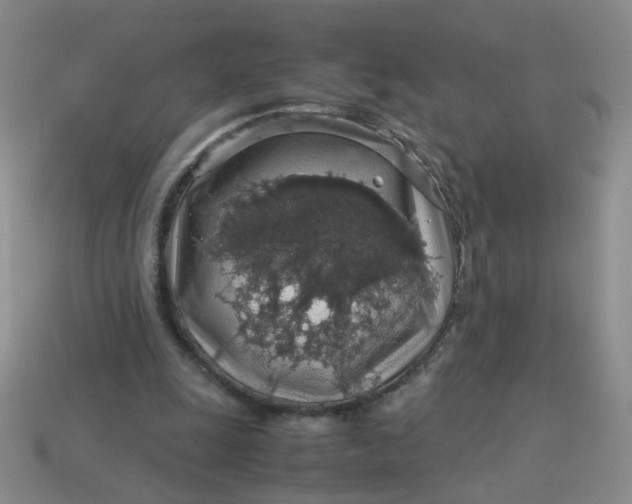 X0000113600247200910091526