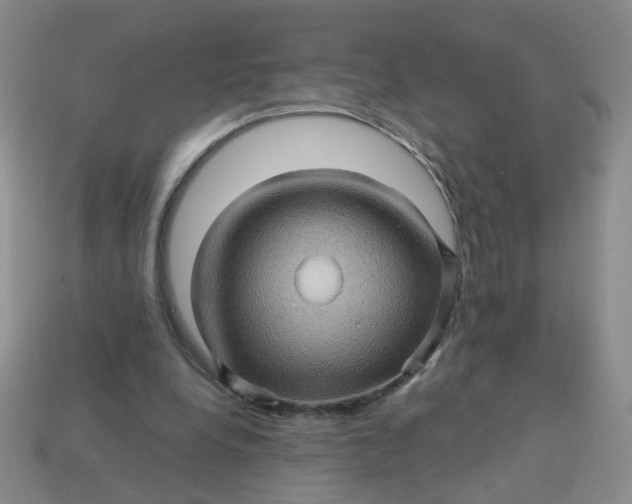 X0000113600248200910091526