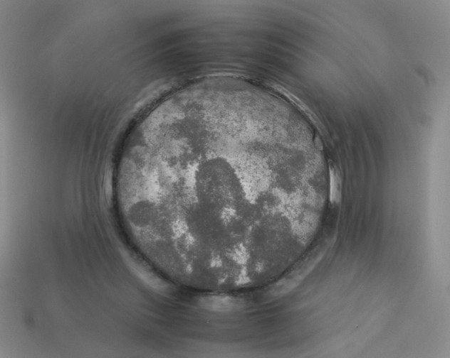 X0000113600253200910091526