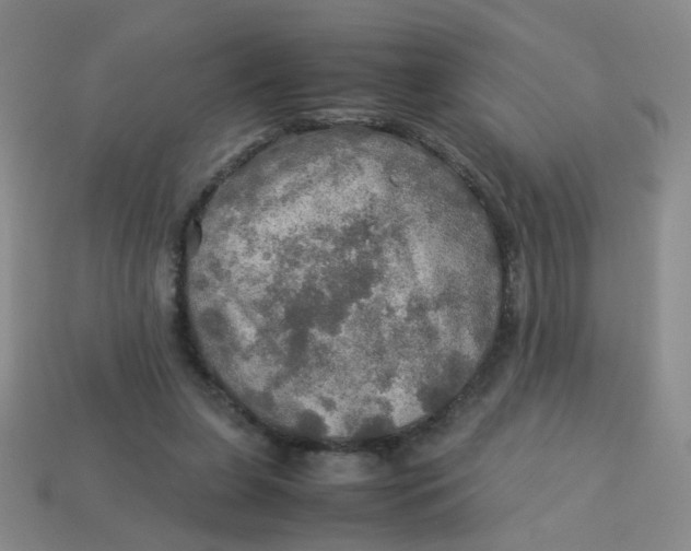 X0000113600255200910091526