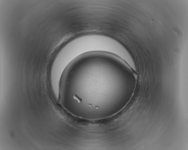 X0000113600256200910091526